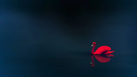 A minimalist 4K Ultra HD wallpaper featuring a striking red swan gracefully gliding across dark waters, creating a serene and elegant atmosphere.