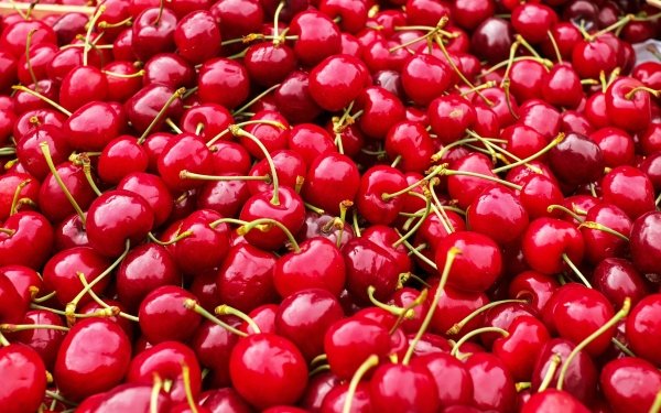 Food Cherry Fruits Fruit Red HD Wallpaper | Background Image