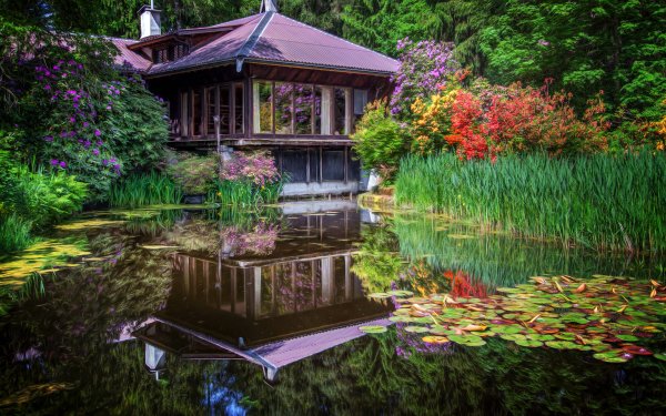 Man Made Japanese Garden Garden Reflection Pond Water Flower HD Wallpaper | Background Image
