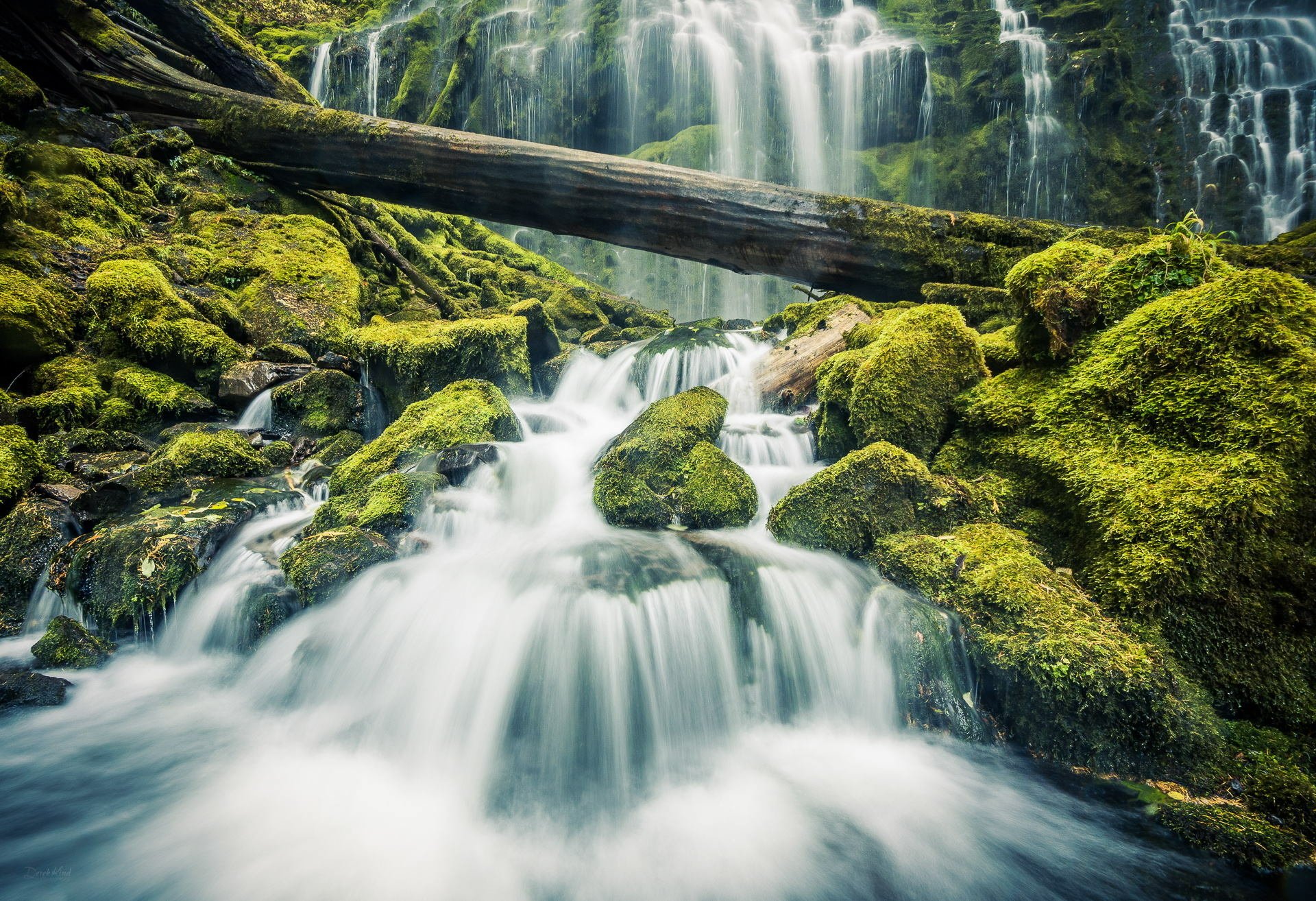 Download Log Moss Nature Waterfall HD Wallpaper