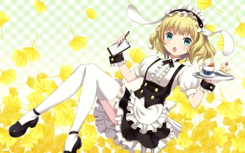 syaro is the order a rabbit download free