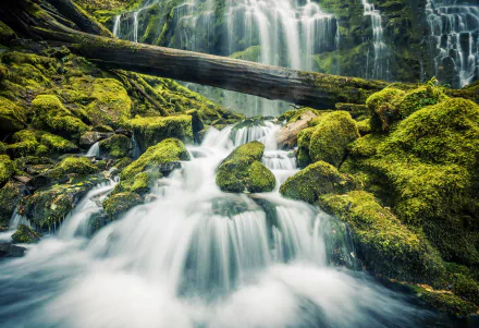 log moss nature waterfall HD Desktop Wallpaper | Background Image