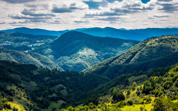 Bosnia tree forest hill nature landscape HD Desktop Wallpaper | Background Image