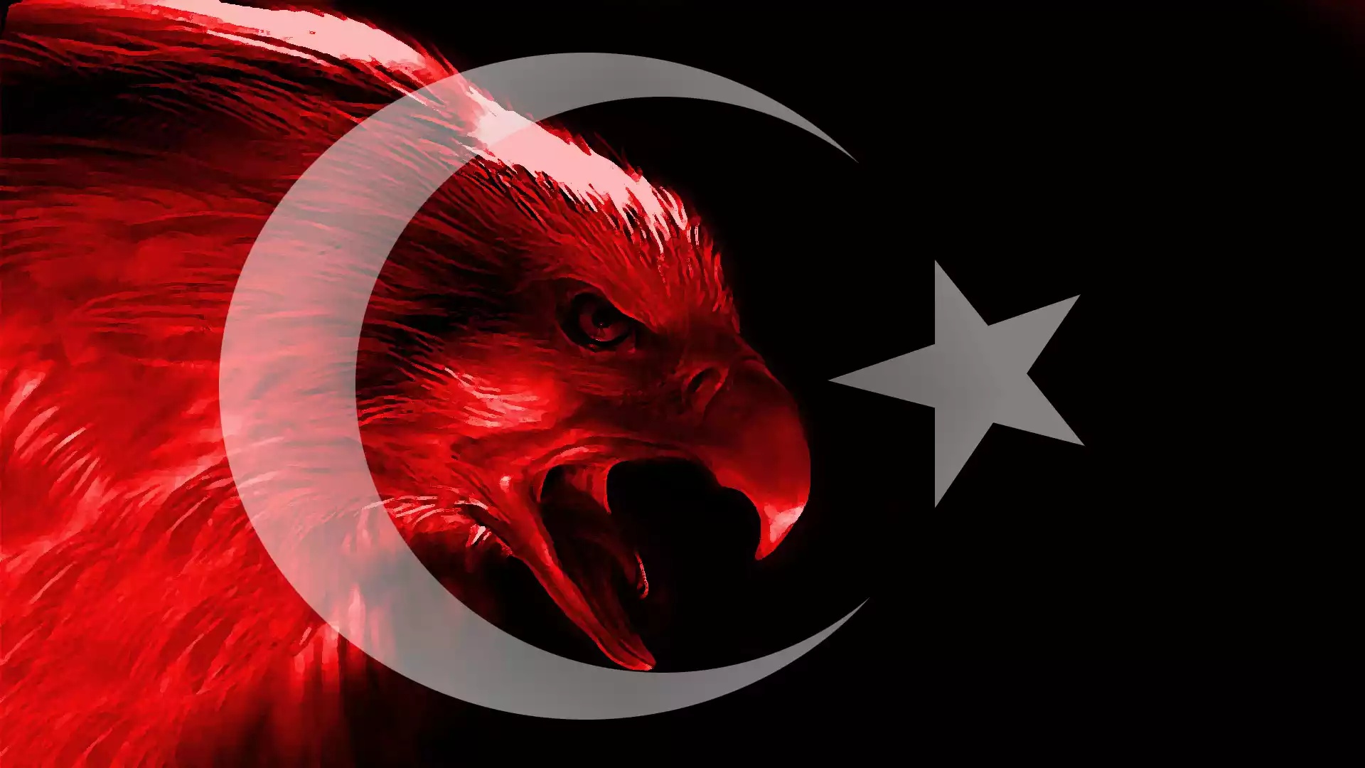 cool turkish flag