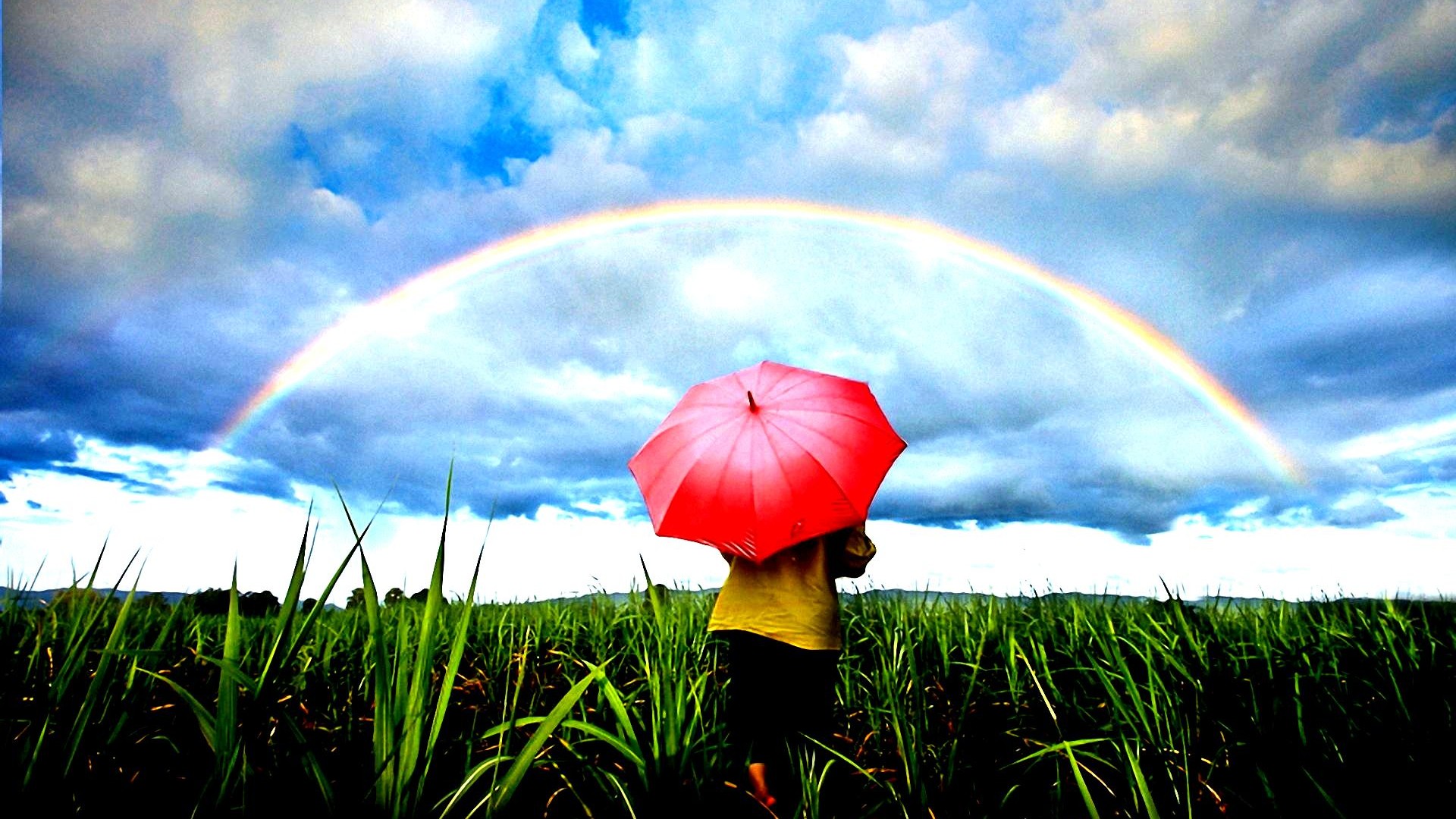 Download Umbrella Little Girl Grass Field Nature Rainbow HD Wallpaper