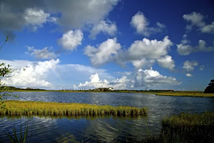  Flooded Marsh by skeeze