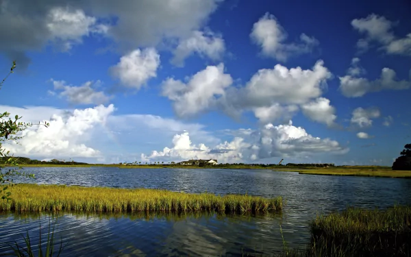  Flooded Marsh by skeeze