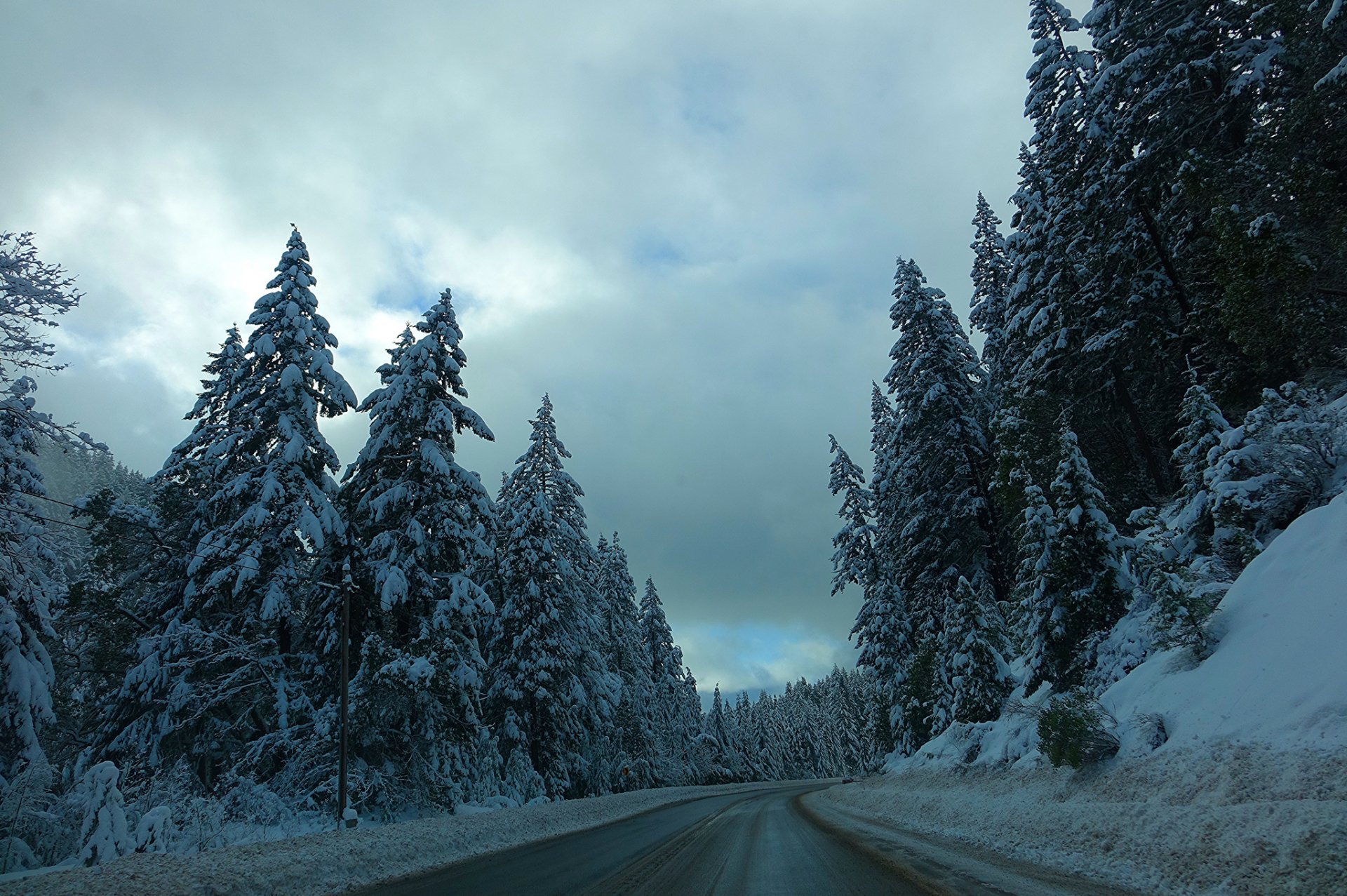 Download Snow Forest Tree Winter Earth Man Made Road HD Wallpaper ...