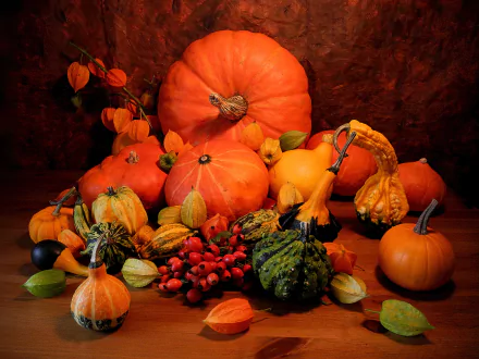 HD still life photography of various pumpkins, gourds, and autumn leaves arranged on a wooden surface, capturing the warm essence of fall for a vibrant PC desktop wallpaper.