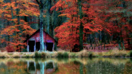HD PC desktop wallpaper of a man-made red cabin on a calm lake shore, nestled in a vibrant fall forest with colorful trees reflected in the water.