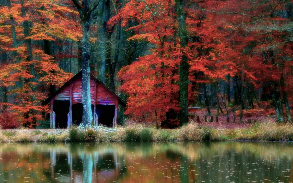 HD PC desktop wallpaper of a man-made red cabin on a calm lake shore, nestled in a vibrant fall forest with colorful trees reflected in the water.