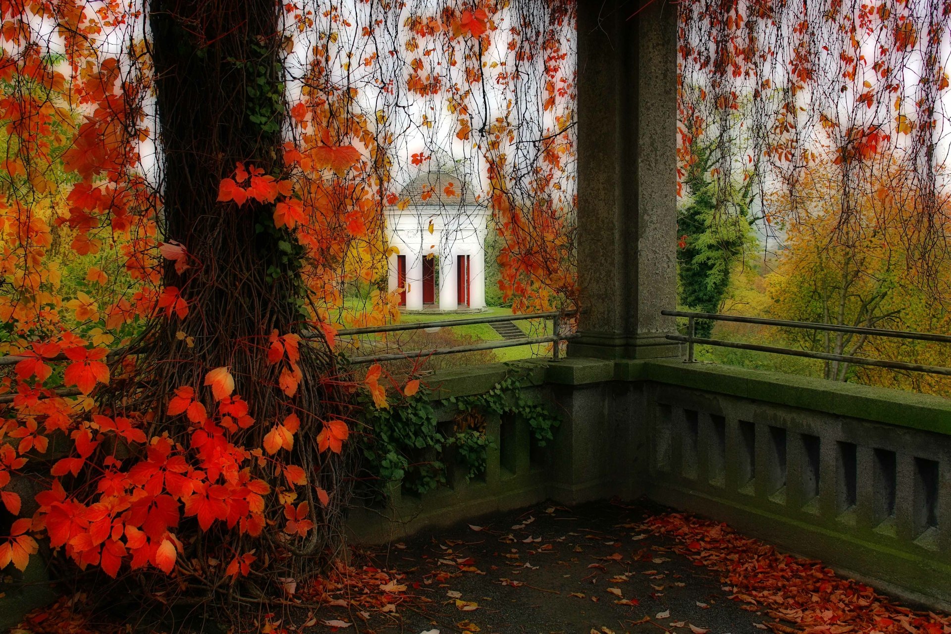 A vibrant 4K Ultra HD photo of a park gazebo framed by autumn leaves hanging from a tree, creating a serene and colorful nature scene.
