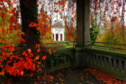 A vibrant 4K Ultra HD photo of a park gazebo framed by autumn leaves hanging from a tree, creating a serene and colorful nature scene.