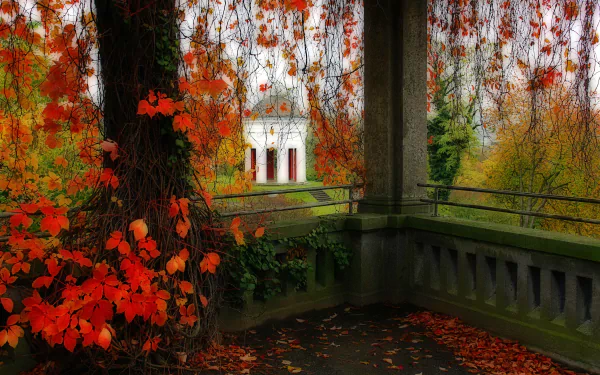 A vibrant 4K Ultra HD photo of a park gazebo framed by autumn leaves hanging from a tree, creating a serene and colorful nature scene.