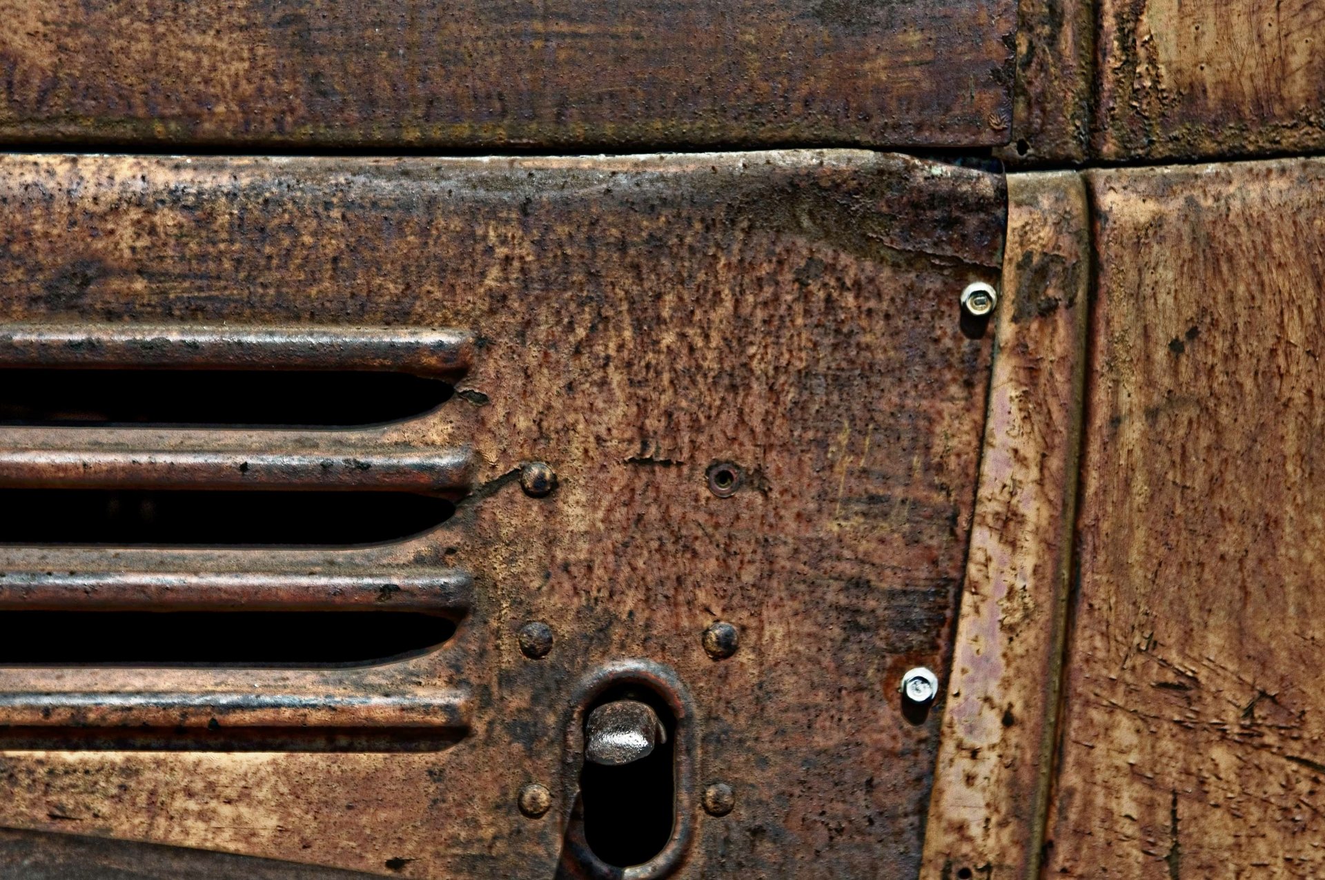 Download Photography Close-up 4k Ultra HD Wallpaper