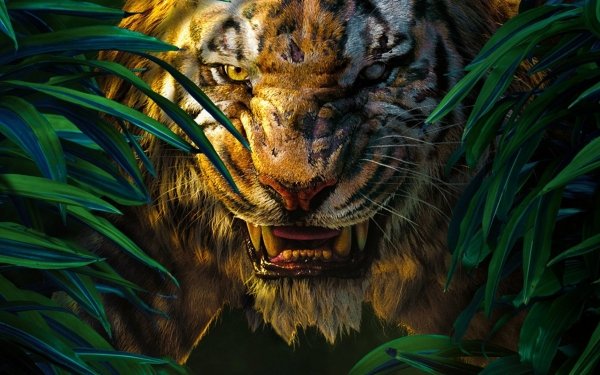 Movie The Jungle Book (2016) The Jungle Book Tiger HD Wallpaper | Background Image