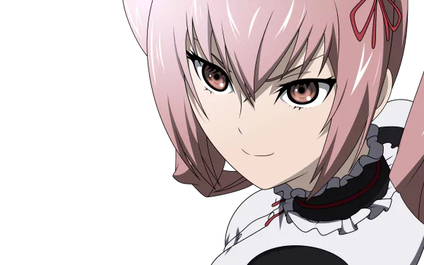 maid cat girl Faris Nyannyan Anime Steins;Gate HD Desktop Wallpaper | Background Image