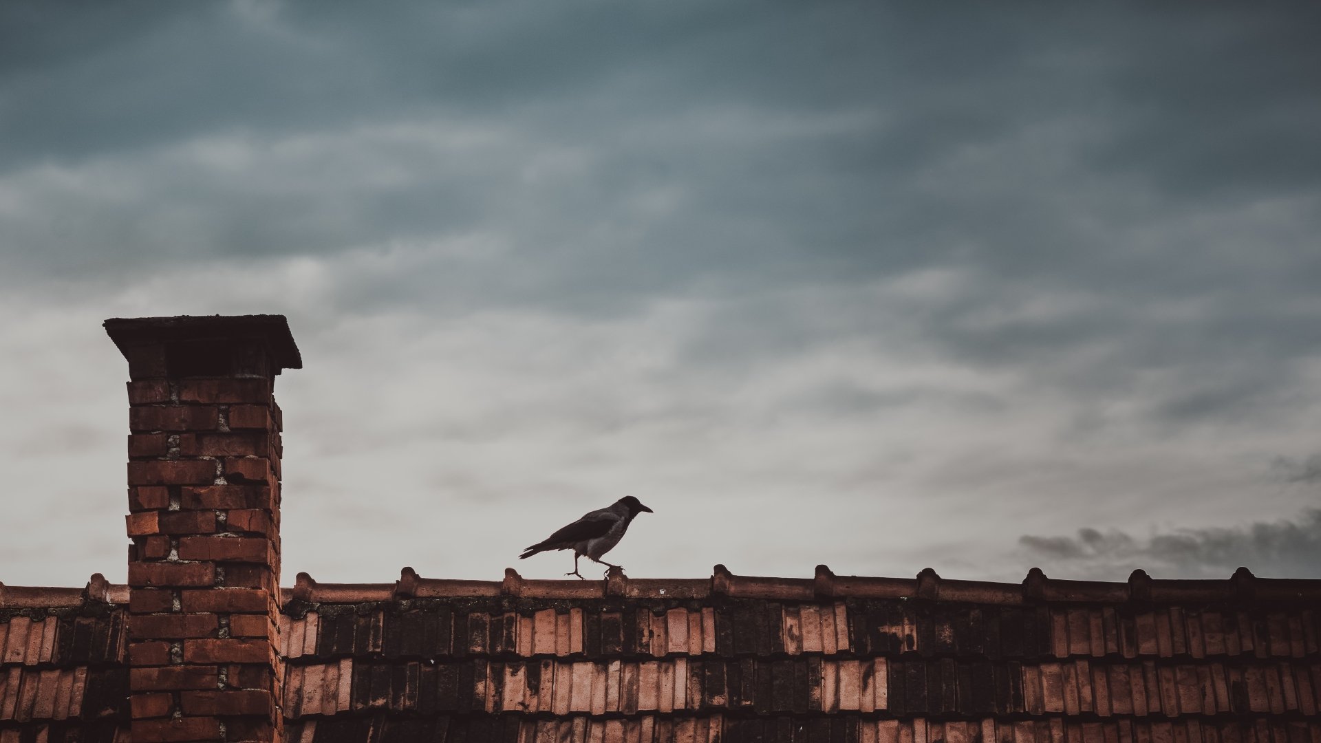 Magpie perched on a weathered rooftop against a moody sky — 4K Ultra HD PC desktop wallpaper background; bird, animal.