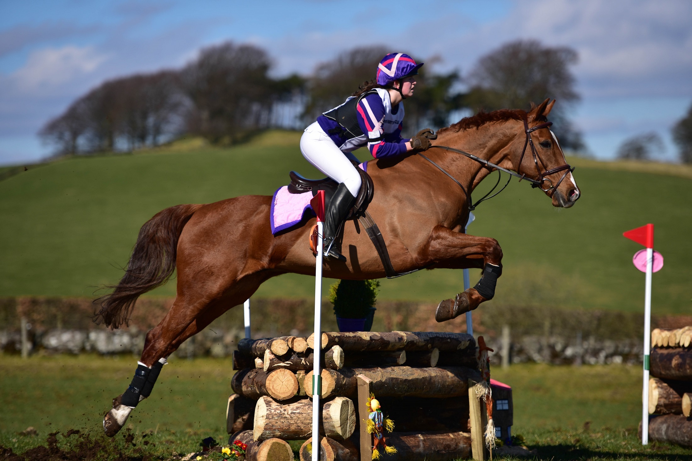 thumbnail image 2 of 12 Piece Horse Jump Cups – Show Jumping, Plastic, Australian Made, Free Shipping Sydney 2 of 5