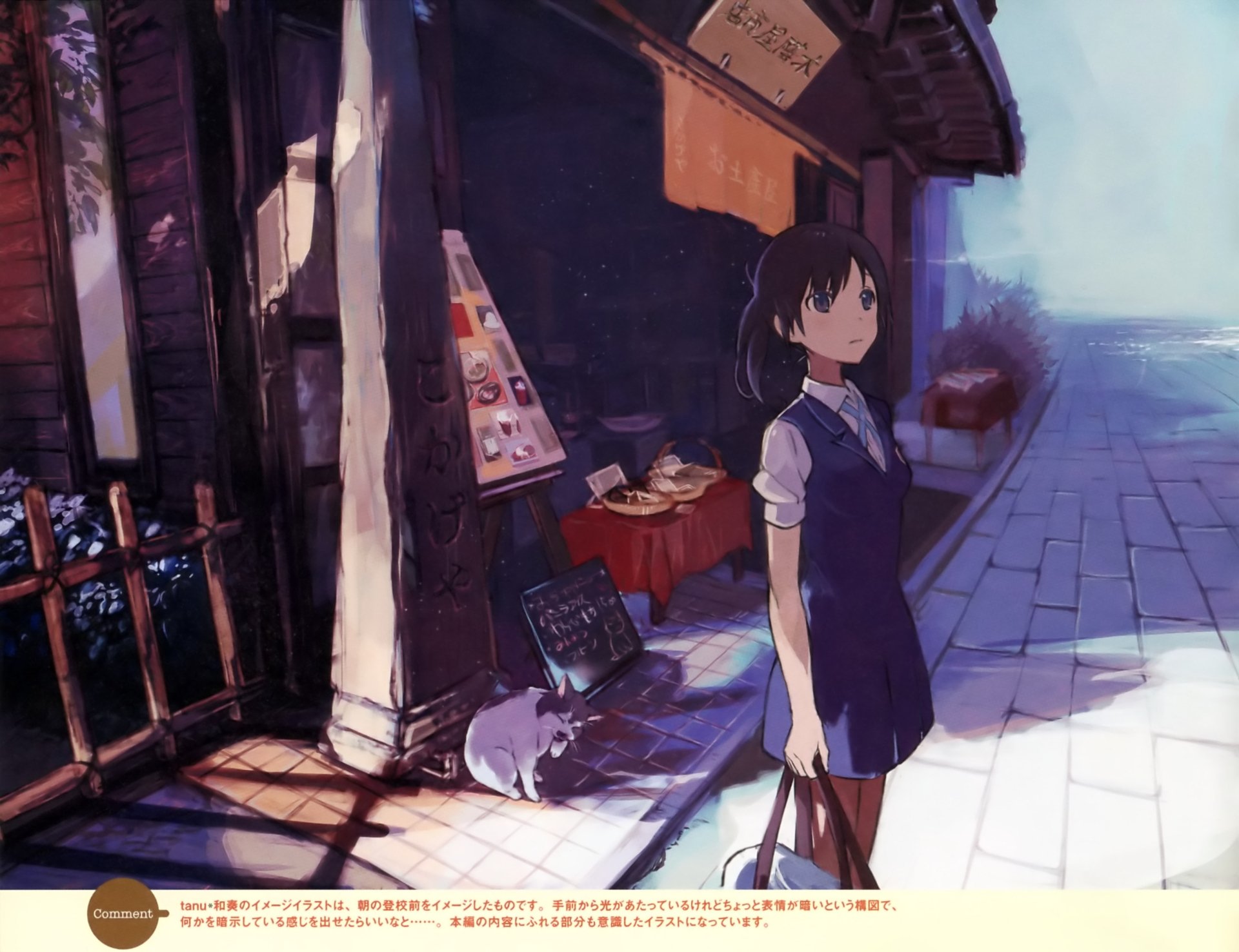 Anime-style HD PC desktop wallpaper from Tari Tari featuring a girl in school uniform standing near a street stall with a cat resting beside her in soft, natural lighting.