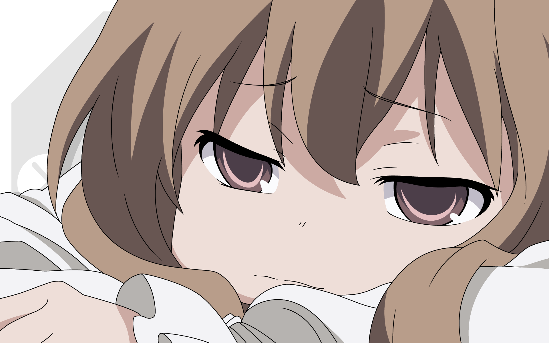 Download Anime Toradora! HD Wallpaper
