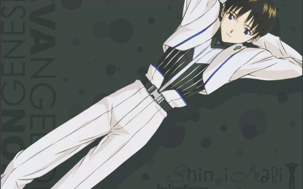 Shinji Ikari Anime Neon Genesis Evangelion HD Desktop Wallpaper | Background Image