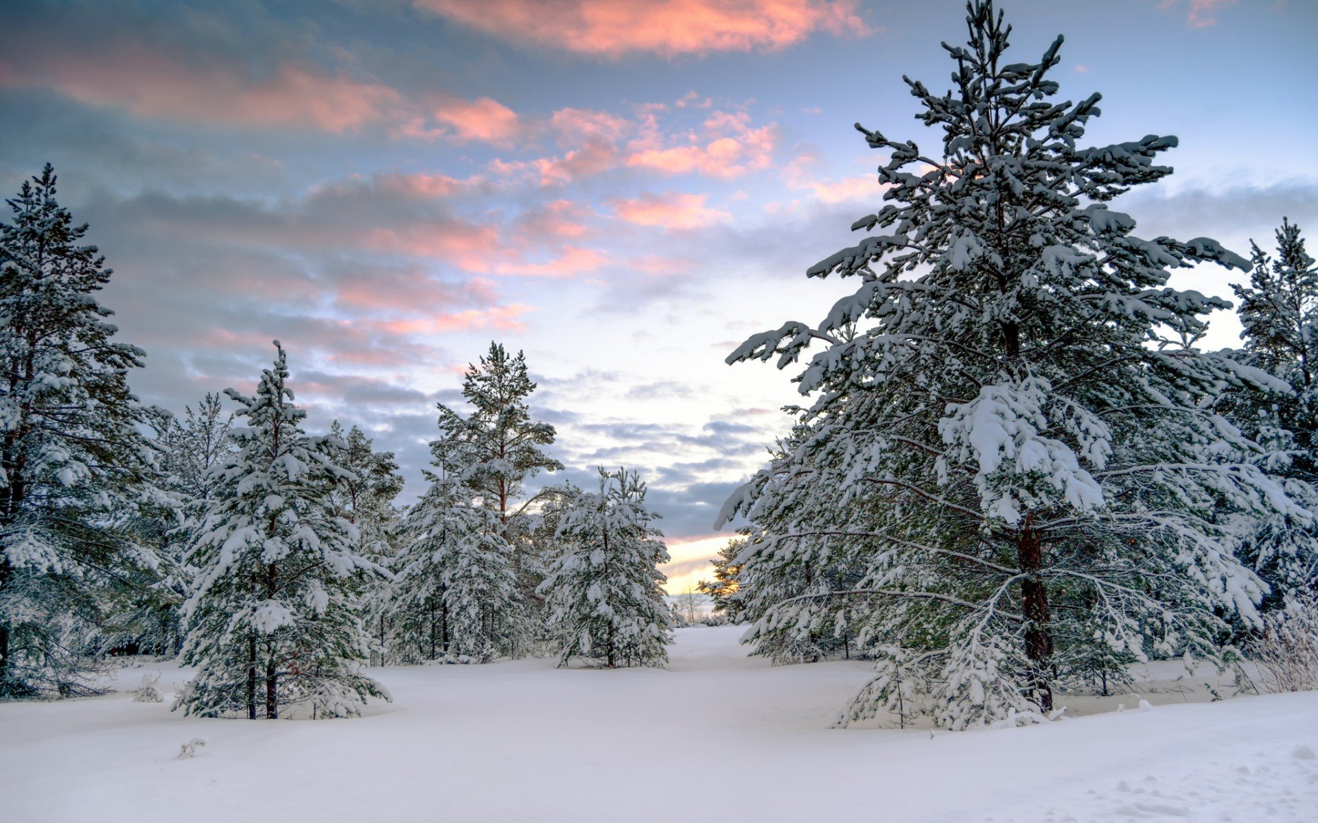 Download Sunset Snow Forest Tree Nature Winter Winter Sunset HD ...