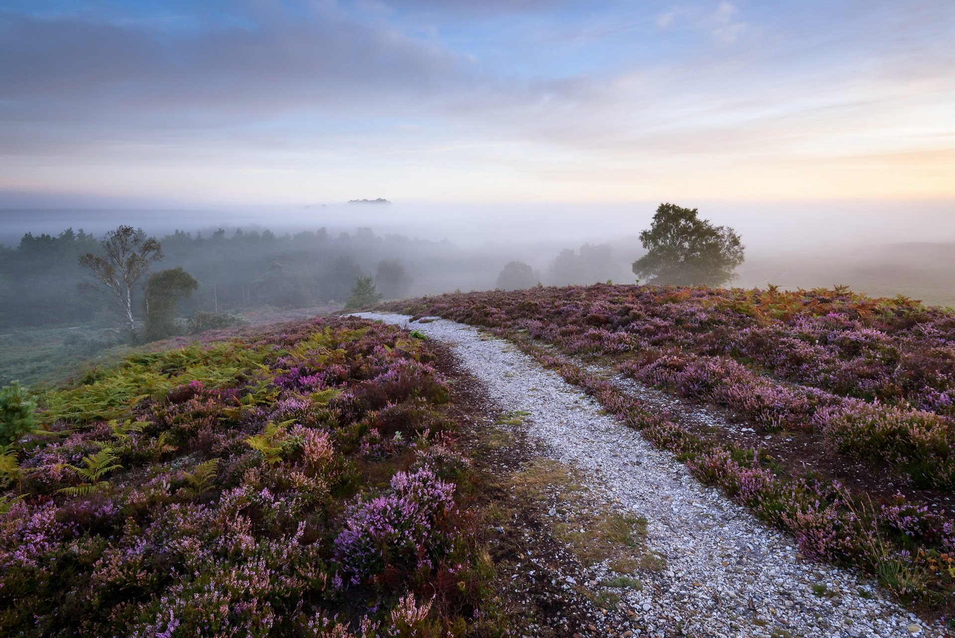 Download Landscape Horizon Fog Nature Path HD Wallpaper | 1920x1282 ...