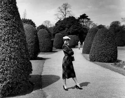 Celebrity Audrey Hepburn HD Desktop Wallpaper | Background Image