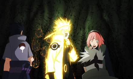 A vibrant HD wallpaper featuring Kakashi Hatake, Sakura Haruno, Sasuke Uchiha, and Naruto Uzumaki from the anime Naruto, set against a dark forest backdrop.