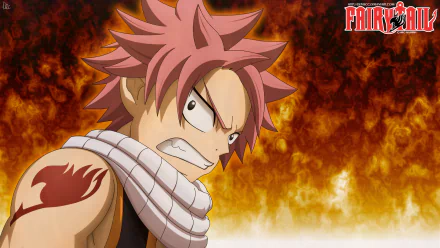 Natsu Dragneel Anime Fairy Tail HD Desktop Wallpaper | Background Image