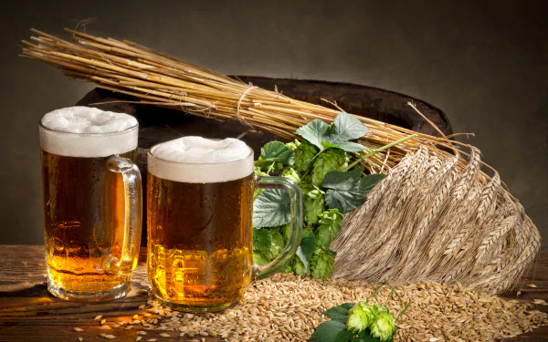 glass wheat still life food beer HD Desktop Wallpaper | Background Image