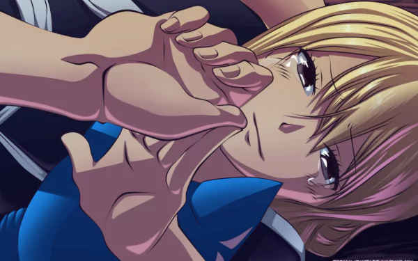 Lucy Heartfilia Anime Fairy Tail HD Desktop Wallpaper | Background Image