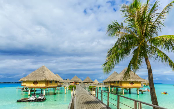 bungalow palm tree tropics Bora Bora french polynesia photography holiday HD Desktop Wallpaper | Background Image