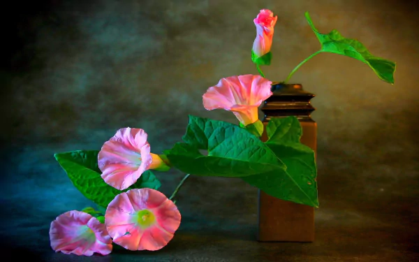 HD desktop wallpaper featuring a still life of delicate pink morning glory flowers in a vase against a textured earthy background.