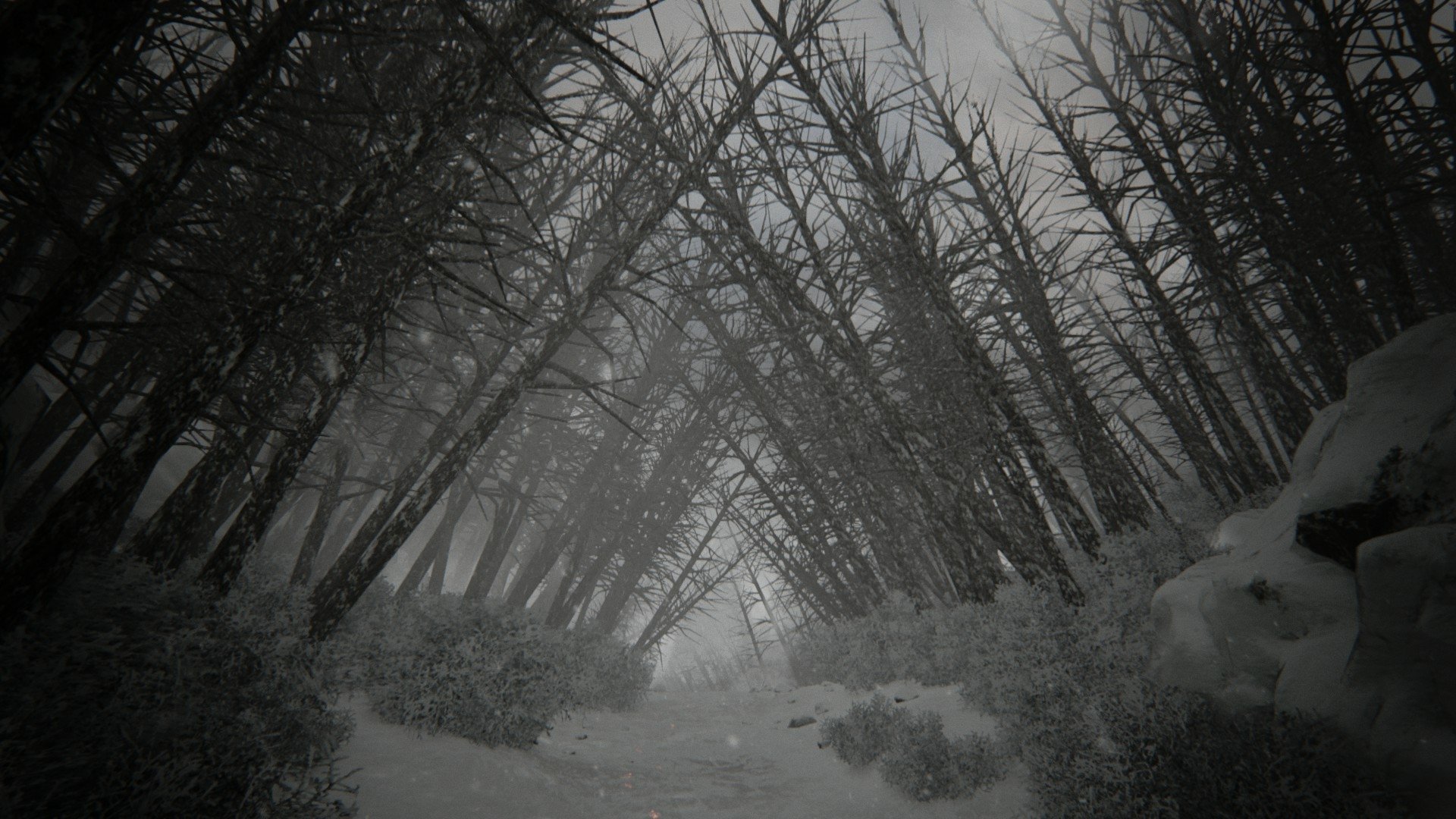Download Forest Snow Video Game KHOLAT HD Wallpaper