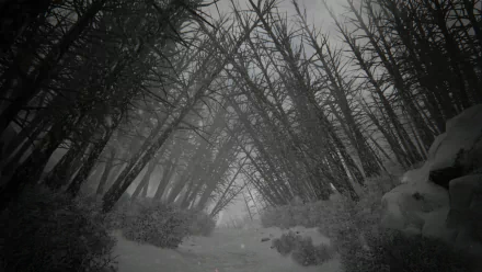 forest snow video game KHOLAT HD Desktop Wallpaper | Background Image