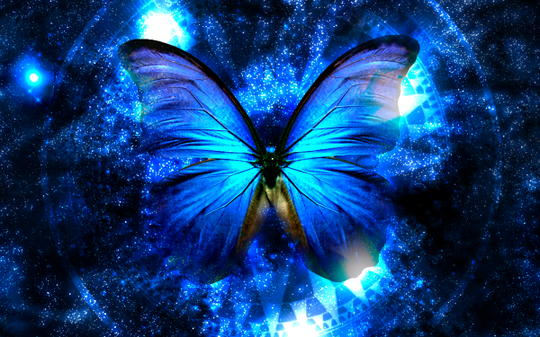Artistic Butterfly Blue HD Wallpaper | Background Image