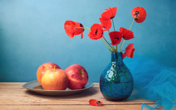 apple red flower poppy vase photography still life HD Desktop Wallpaper | Background Image