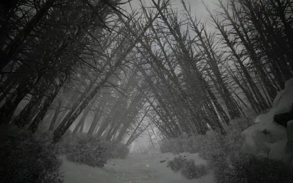 forest snow video game KHOLAT HD Desktop Wallpaper | Background Image