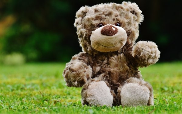 Man Made Stuffed Animal Grass Teddy Bear HD Wallpaper | Background Image