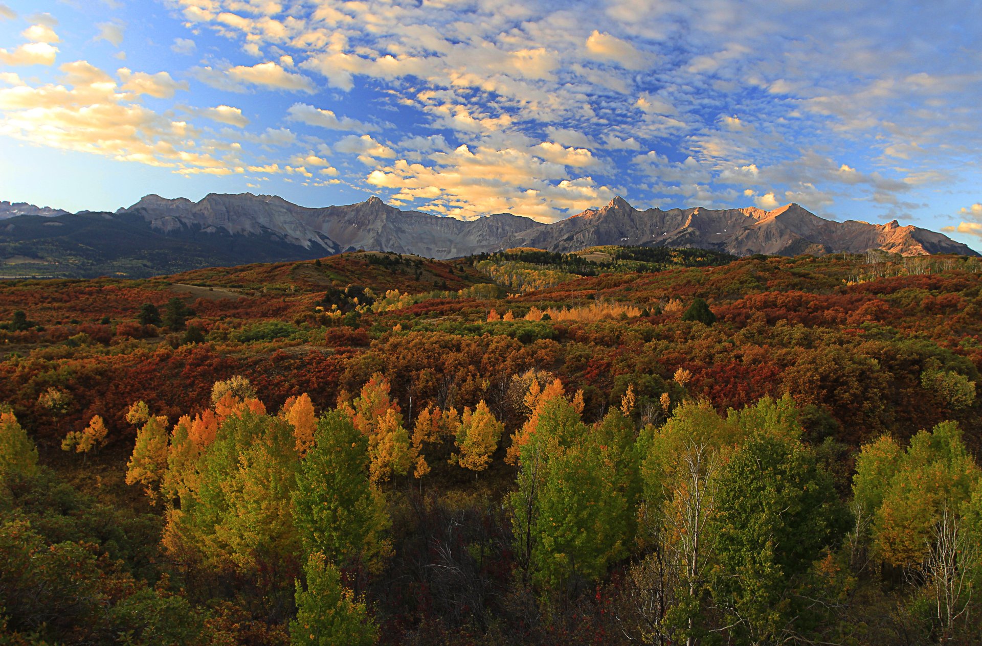 Download Fall Mountain Cloud Sky Forest Nature Landscape 4k Ultra HD ...