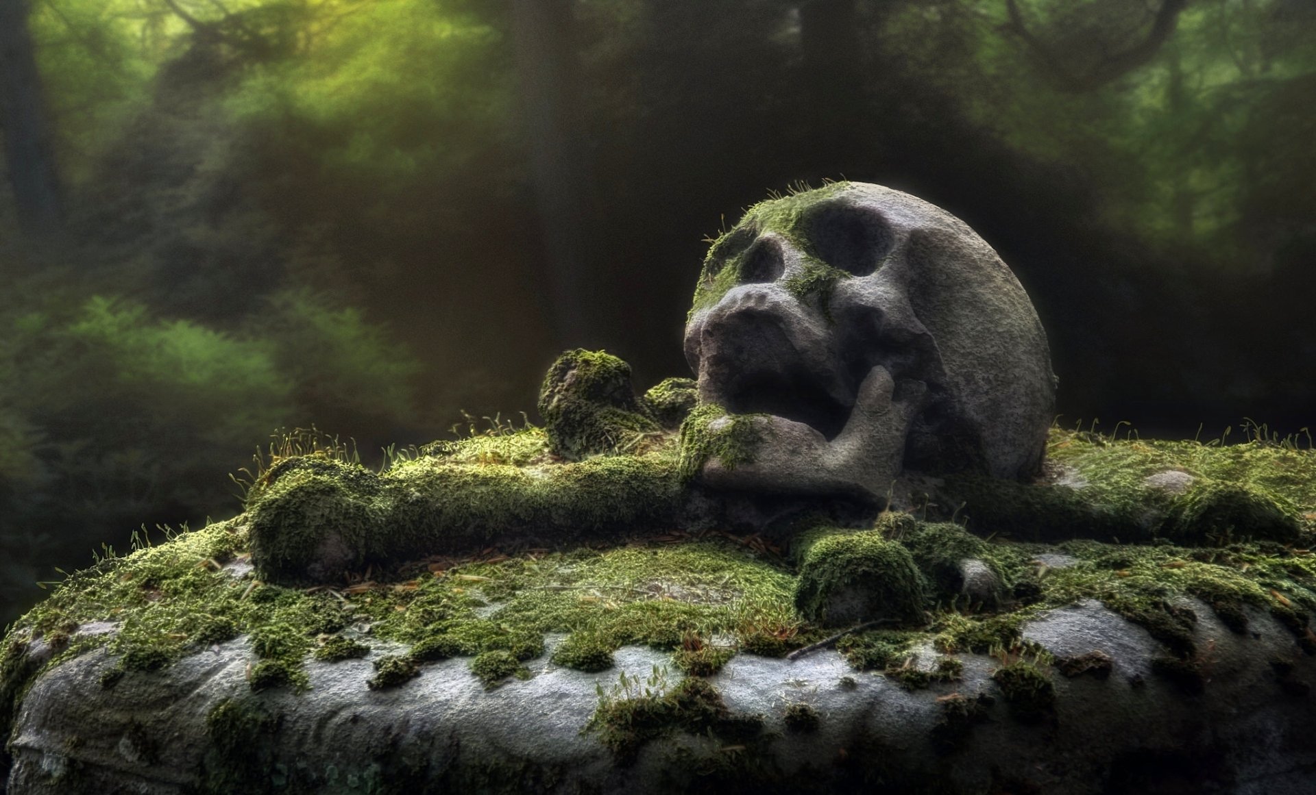 A dark and atmospheric HD desktop wallpaper featuring a moss-covered skull surrounded by lush greenery, creating a captivating contrast between nature and mortality.
