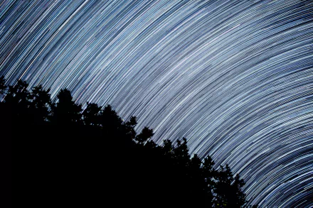 4K Ultra HD time lapse image of night sky star trails arching above silhouetted trees, capturing the motion of stars in nature.