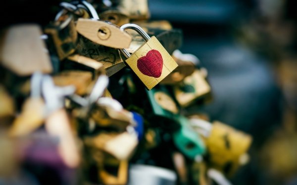 Man Made Lock Heart Romantic Blur Close-Up HD Wallpaper | Background Image