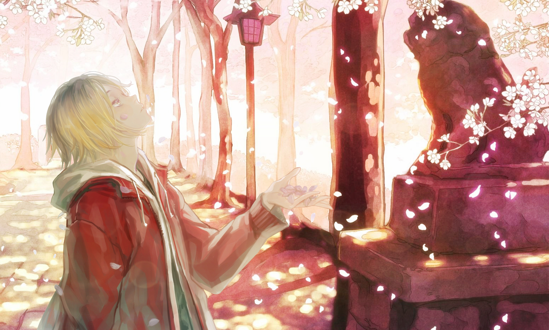 A serene HD anime wallpaper inspired by Haikyū!!, featuring a character in a red jacket surrounded by cherry blossoms and soft sunlight filtering through a tranquil landscape.
