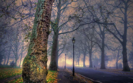 Foggy Street