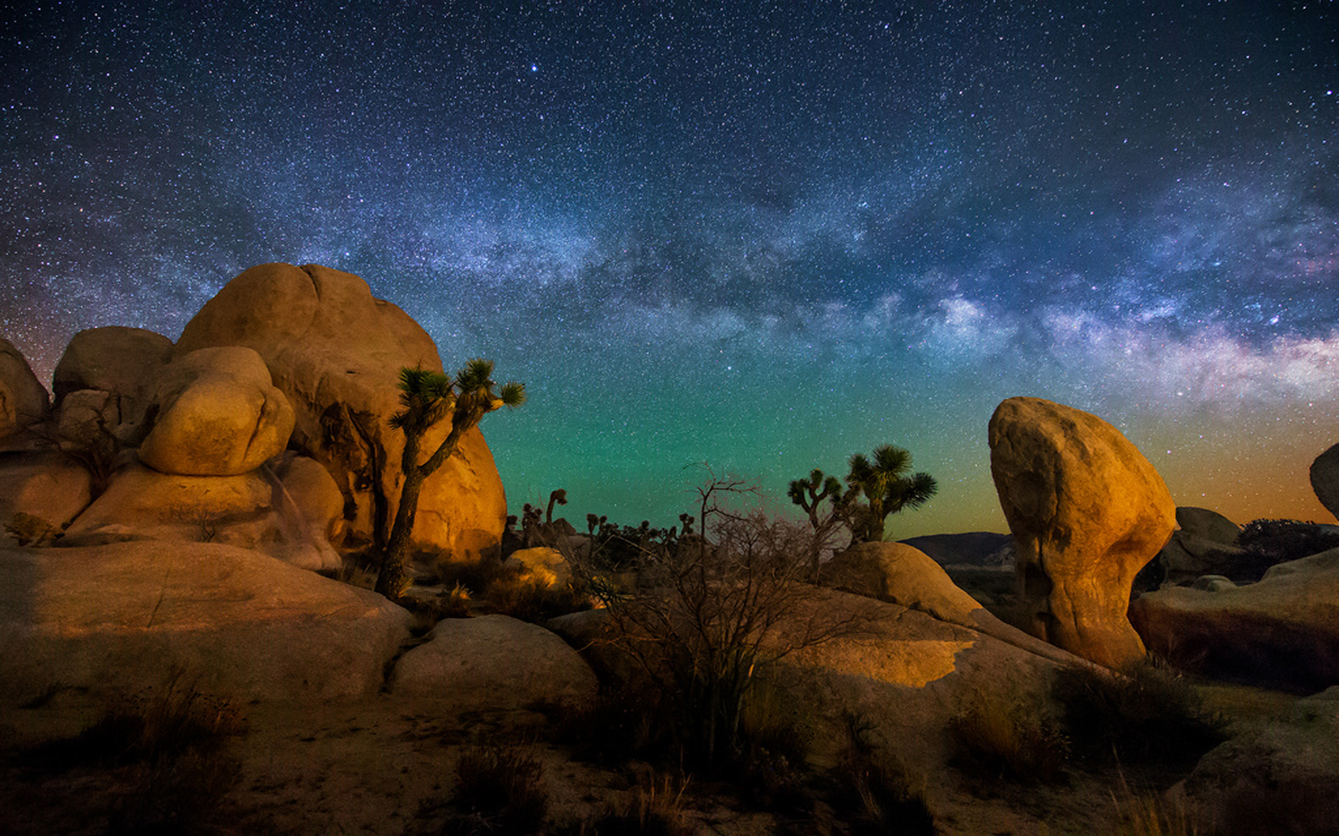 Joshua Tree Hd Wallpapers And Backgrounds