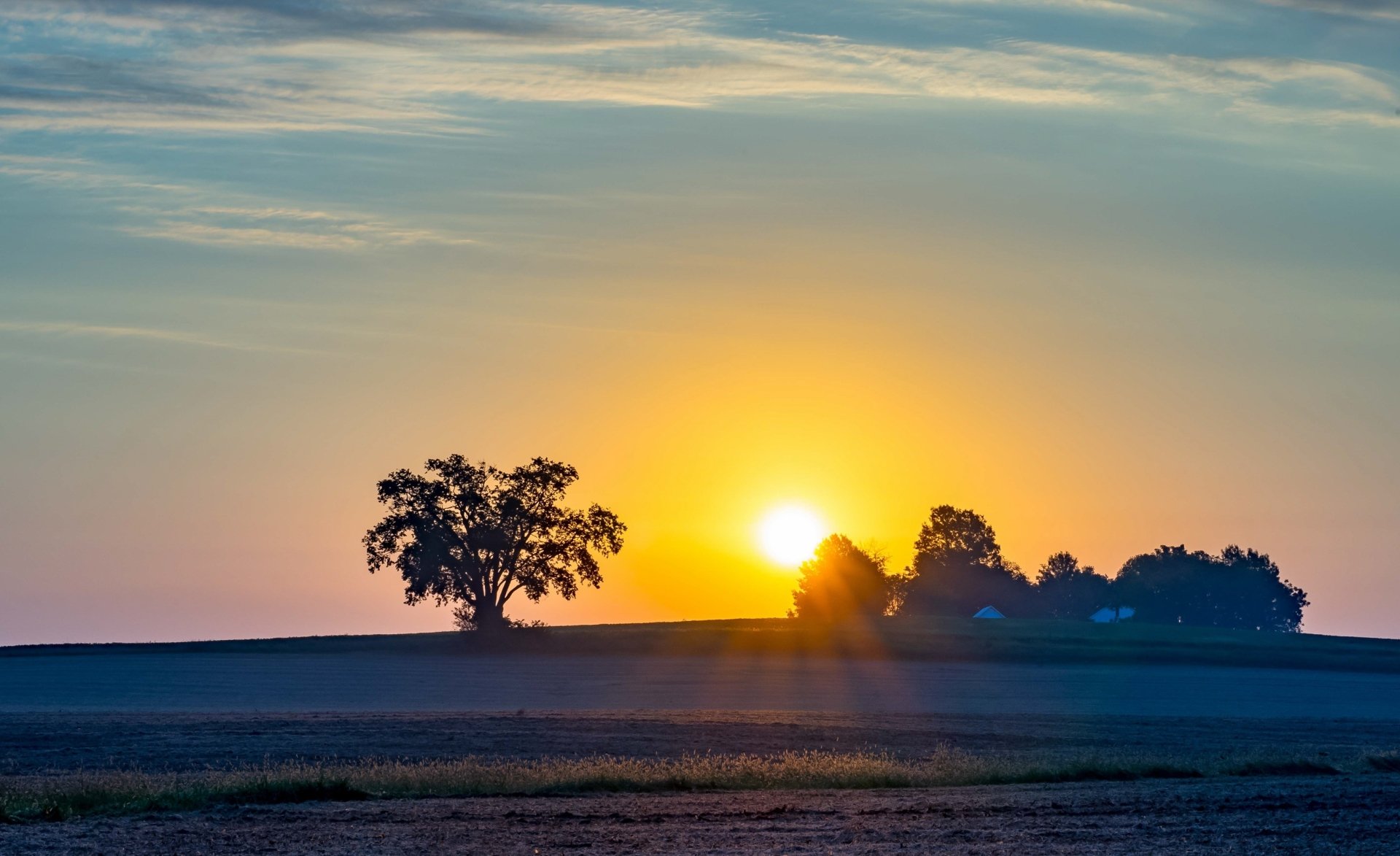Download Field Nature Tree Sun Sunbeam Sunrise HD Wallpaper | 3107x1898 ...