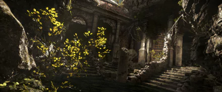 video game Rise of the Tomb Raider HD Desktop Wallpaper | Background Image
